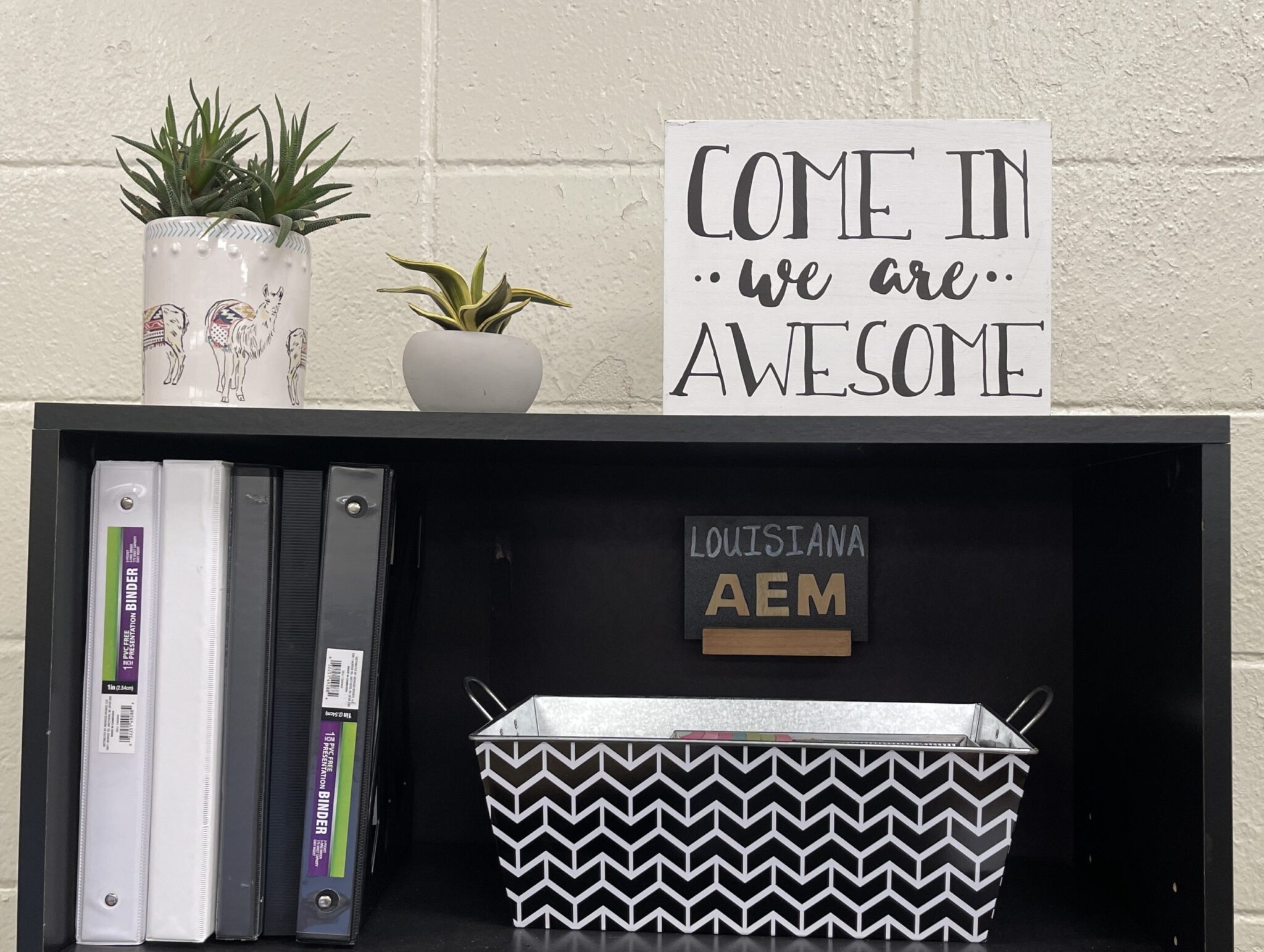 Shelf with plants and a sign reading "come in we are awesome and Louisiana AEM"